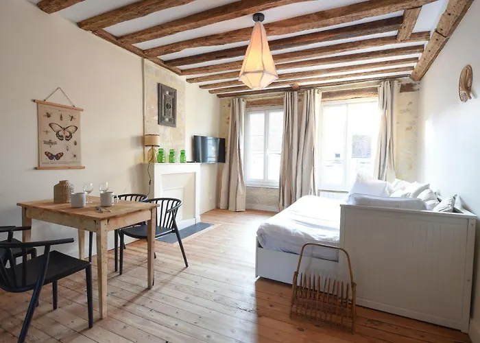 Les Nids Perches - Place Notre-dame